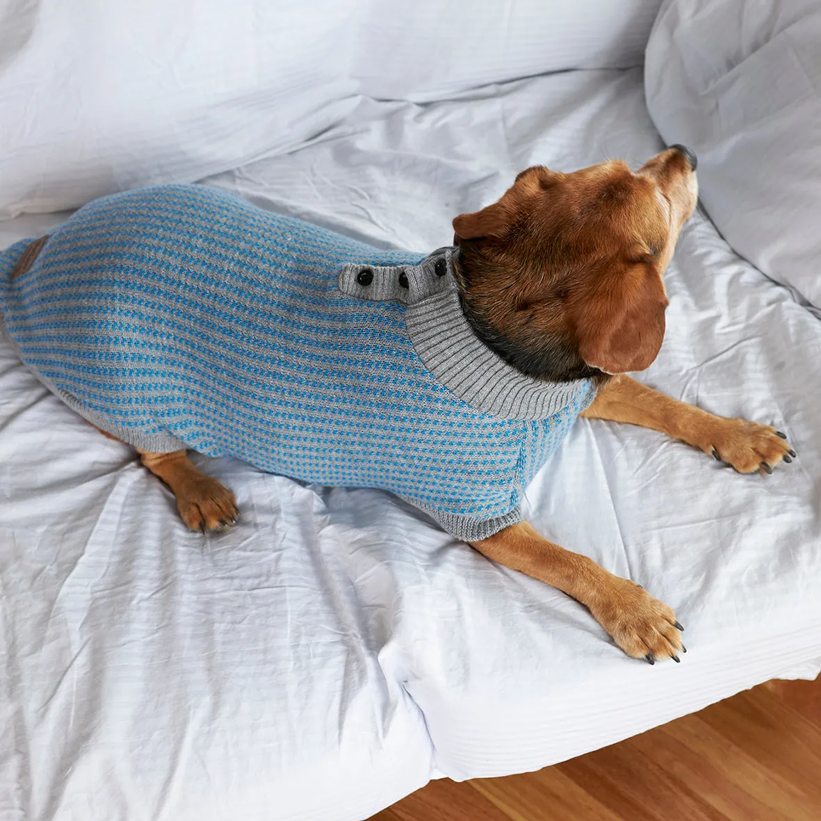 Blue Button Up Knit Dog Jumper