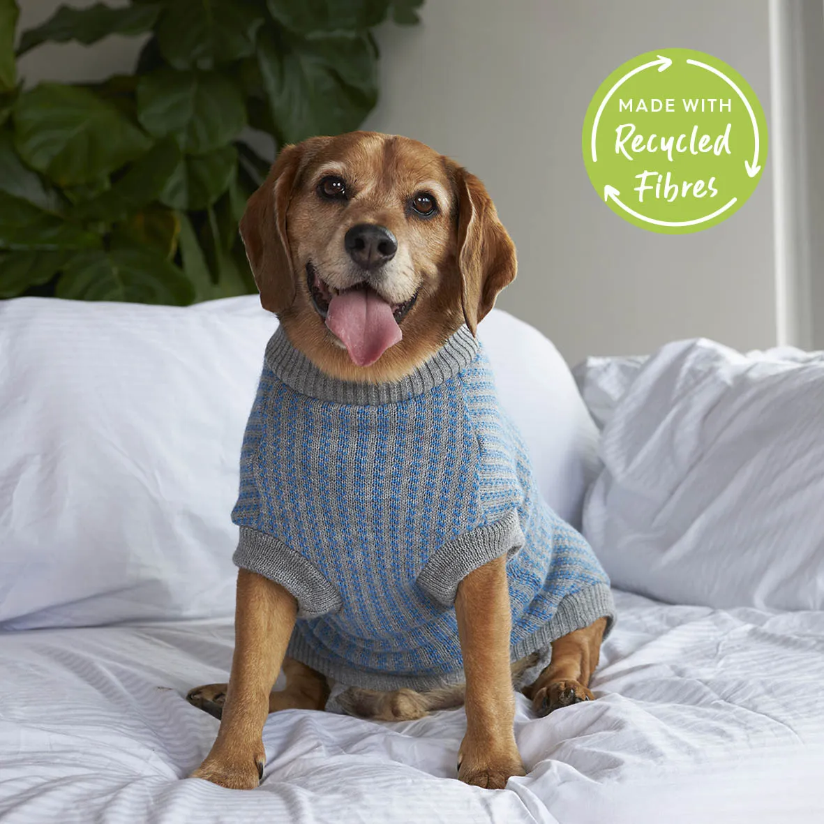 Blue Button Up Knit Dog Jumper