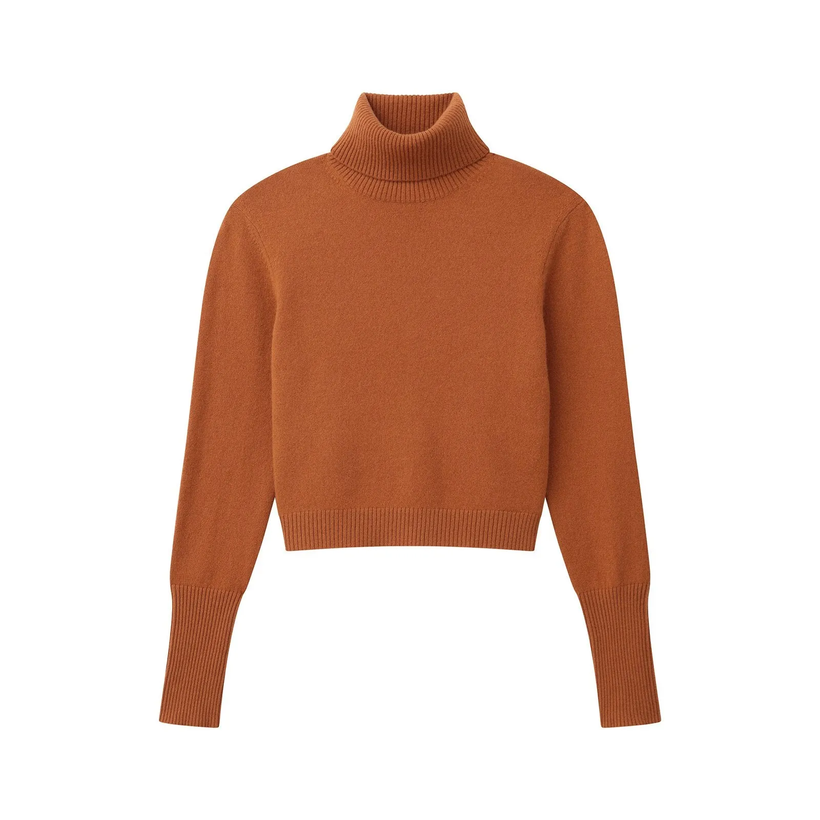 Cashmere Cropped Turtleneck