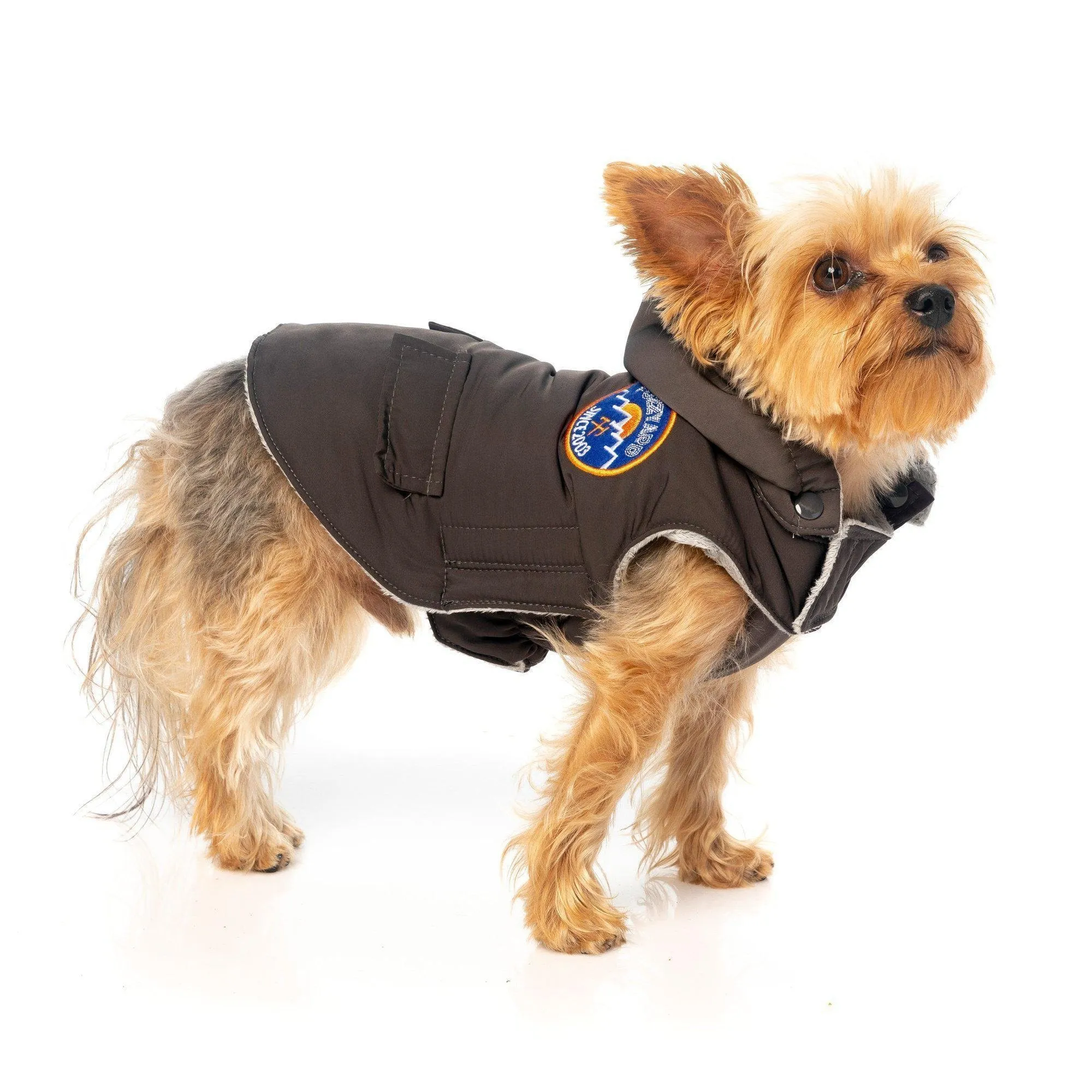 FuzzYard | Nomad Dog Jacket - Charcoal