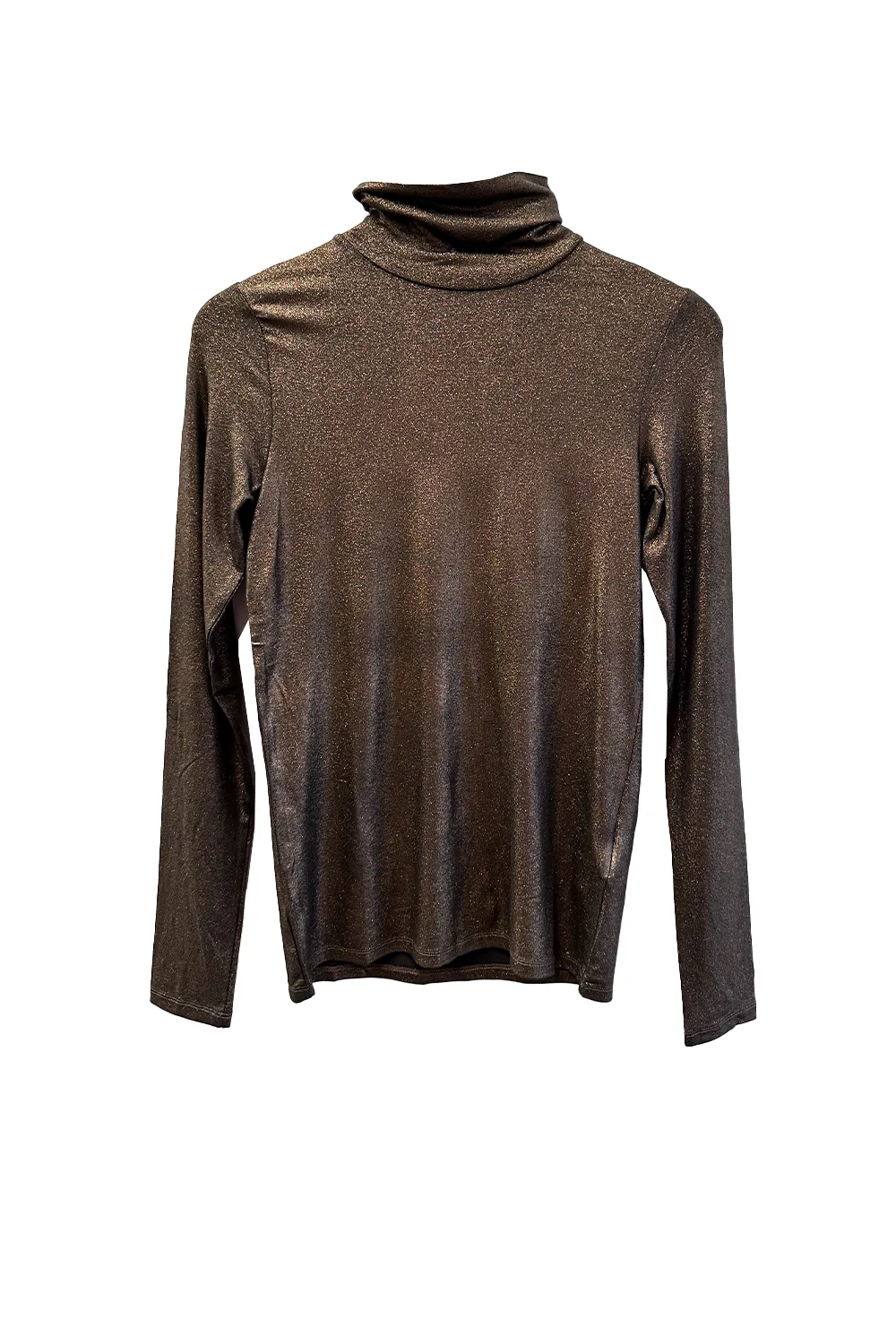 Metallic Turtleneck