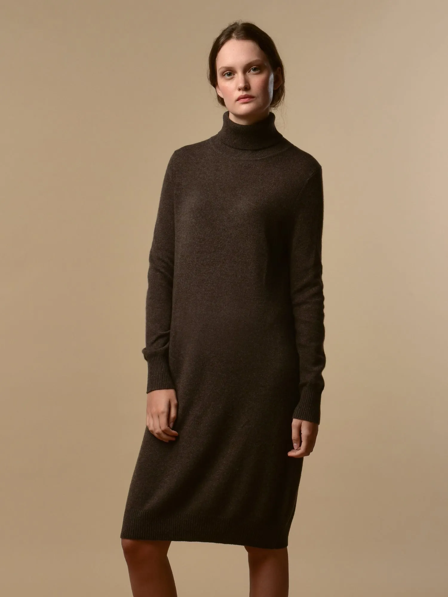 Turtleneck Dress_Cocoa Brown