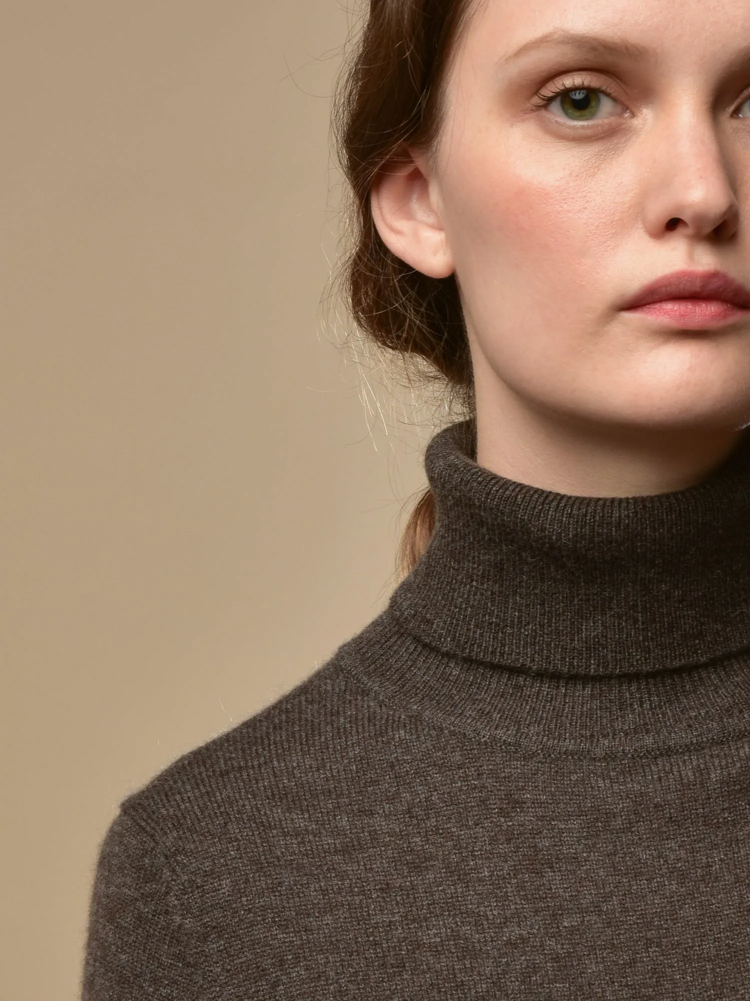 Turtleneck Dress_Cocoa Brown