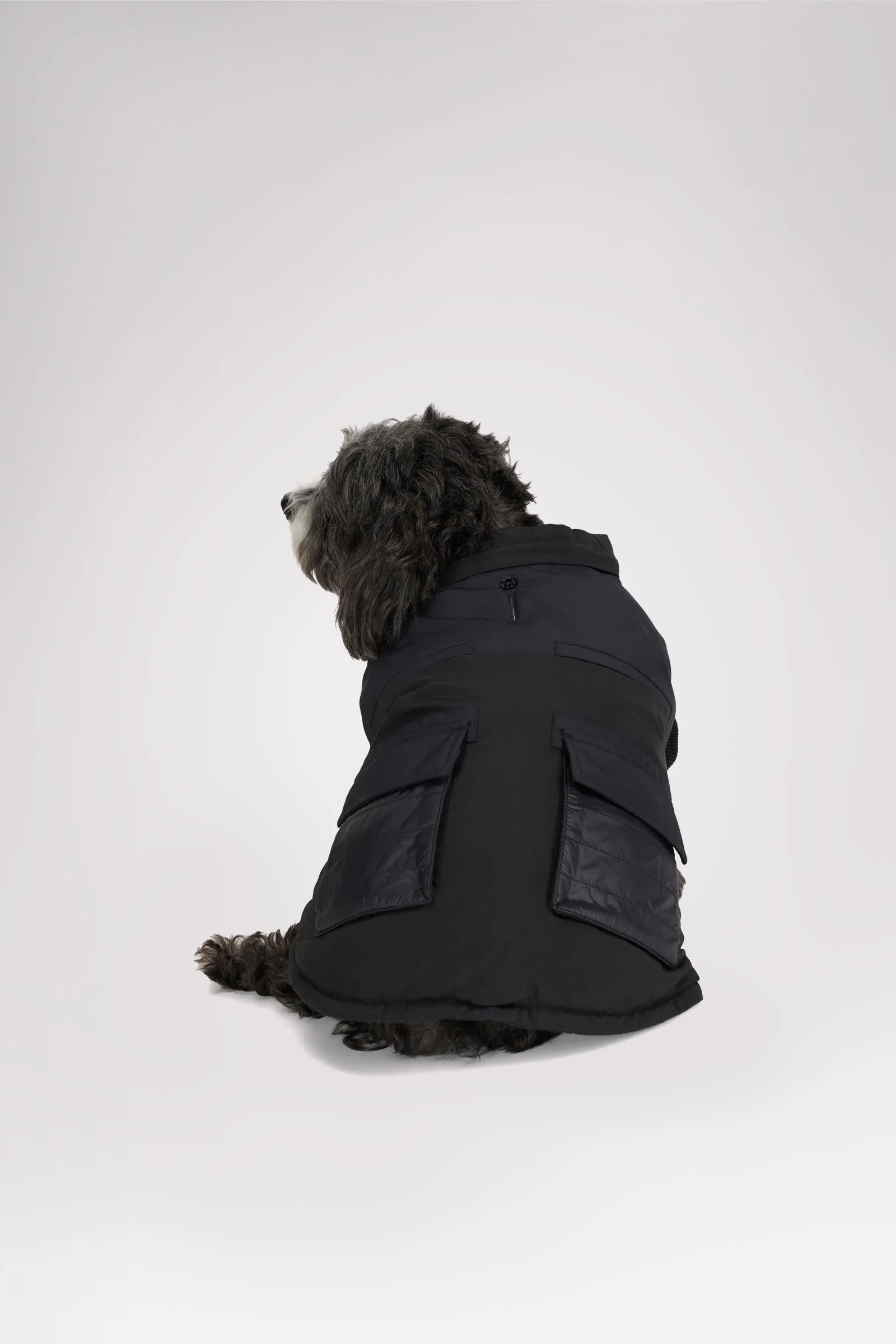 Zeus Jacket for Dogs w/Faux Fur Trim