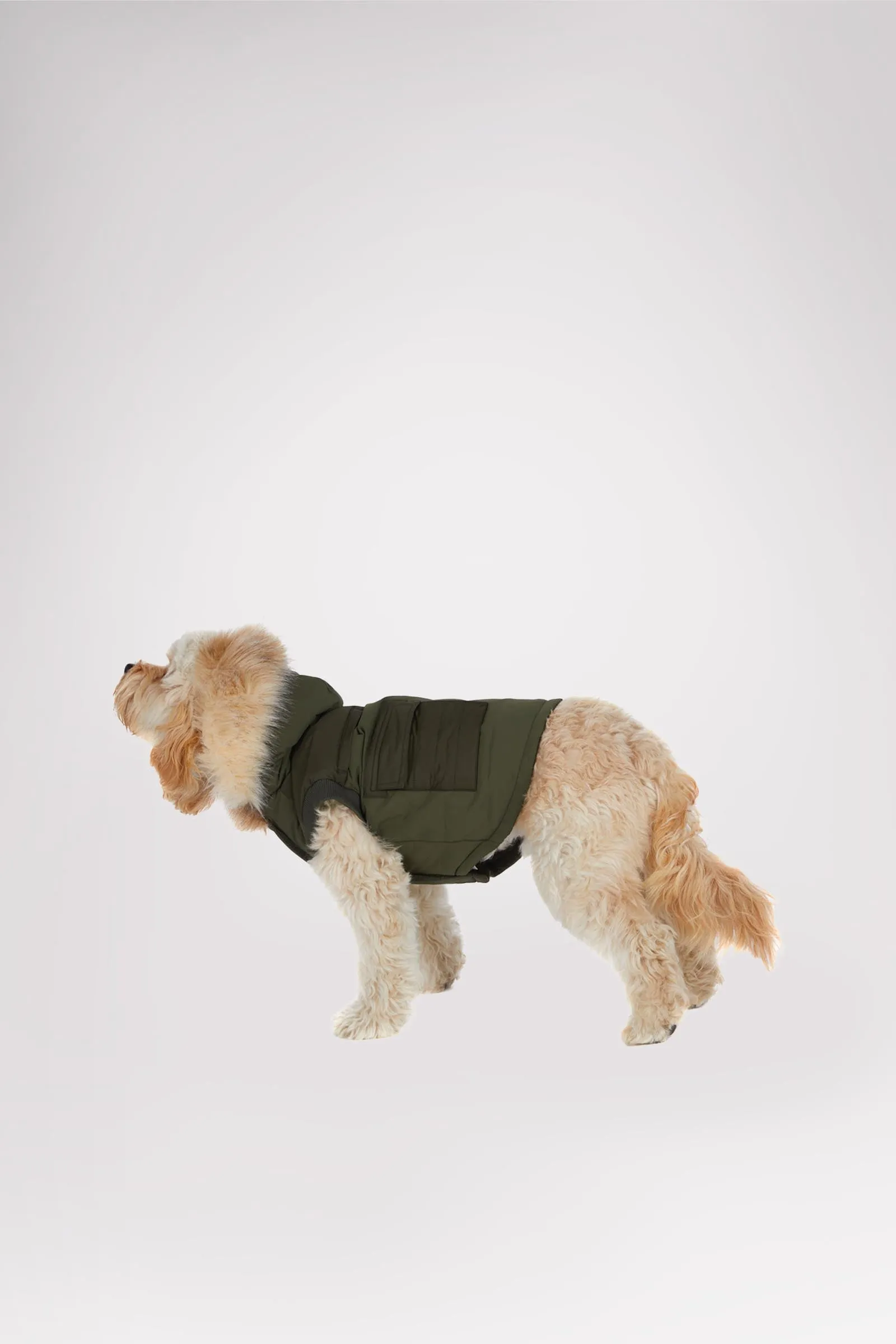 Zeus Jacket for Dogs w/Faux Fur Trim